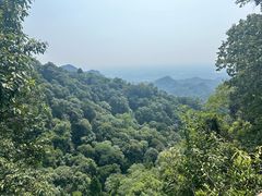 -青城山