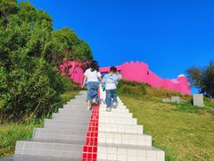 -漳州滨海火山岛自然生态风景区