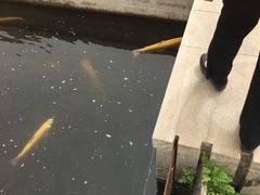 -天源渔港农庄