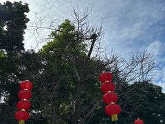 -广州市帽峰山景区