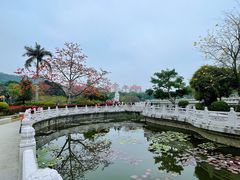 -南普陀寺