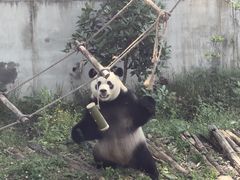 -黔灵山公园