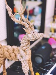 点击看大图 -Hello Lady发型设计