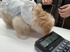 -全心全意动物诊疗中心医院(北苑店)