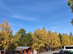 -莫尔道嘎国家森林公园