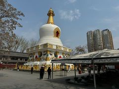 -护国法轮寺