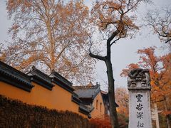 -灵谷景区