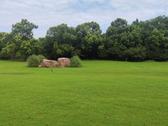 -昆山城市生态森林公园