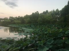 -上海怡沁园度假酒店
