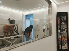 -comecome来吧宠物(奥克斯中心店)