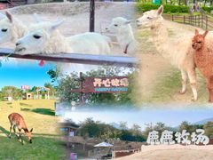 -盈香心动乐园