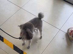 -宠福鑫康馨动物医院·骨科·眼科