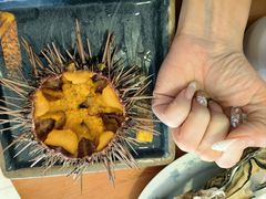 -海胆小馆(东北水饺·春柳店)