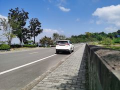 -铁山坪森林公园