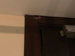 -麦哲伦丝绸度假村