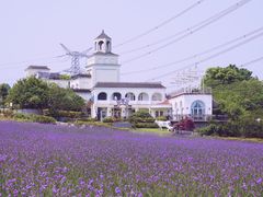 -紫颐香薰山谷景区