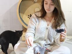 -豆逗聊愈猫阁Easy Life