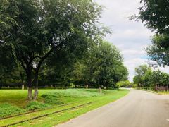 -永定河休闲森林公园