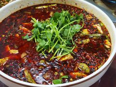 -陈胖子鱼庄(黄辣丁新津店)