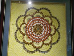 -上海昆虫博物馆