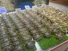-大润发(南湖店)