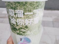 石斛雪燕羽衣甘蓝-TD66高山铁皮石斛养生茶饮