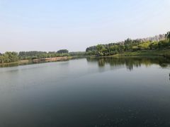-东郊湿地公园