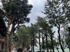 -滇池海埂公园