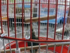 -宠爱我(南山店)