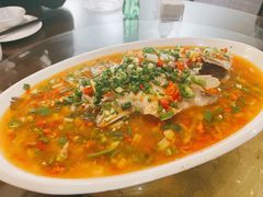 飞虹鱼-飞虹鱼馆(春华路店)