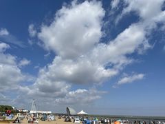-碧海金沙