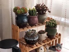 -秦美花卉(天朗·莱茵小城2期店)