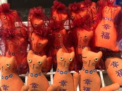 -猫咪博物馆(顶澳仔猫街店)