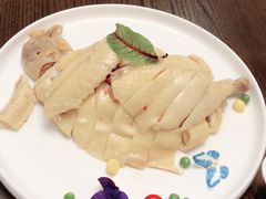 白斩鸡-乔家栅(襄阳南路店)