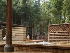 -春晖园度假酒店温泉