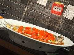 -丹江渔村(望京店)