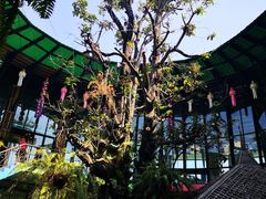 -The Ring Pavilion 魔幻森林