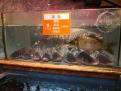 水产区-饭怕鱼(阳光100店)