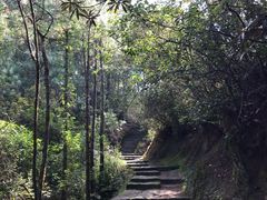 -腾冲云峰山