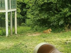 -西安秦岭野生动物园