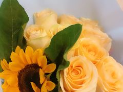 -双季花艺园艺市场(浦东店)