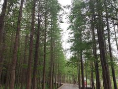 -云龙湖旅游景区