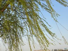 -渭河城市绿地运动公园