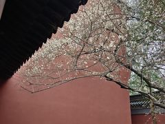 -钱王祠