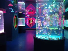 -左海海底世界