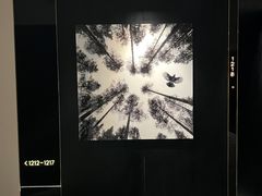 -尼依格罗香港美利酒店