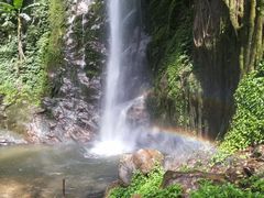 -莫里热带雨林景区