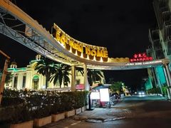 -金东尼人妖秀