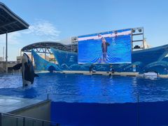 -上海海昌海洋公园-停车场