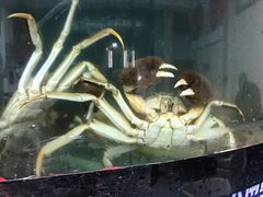 -蟹状元大闸蟹·年货·粽子(成都成华店)